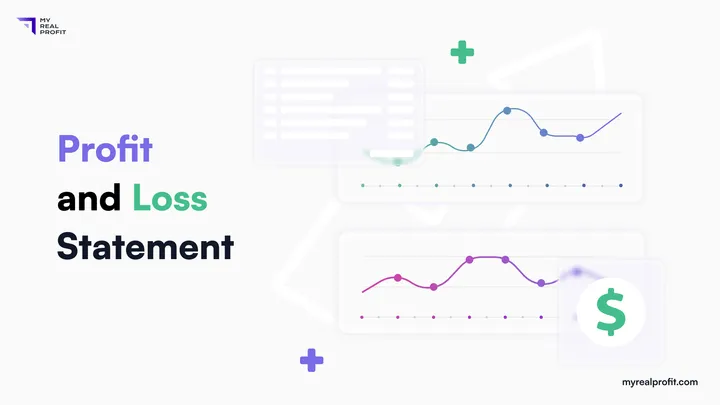 Profit and loss statement