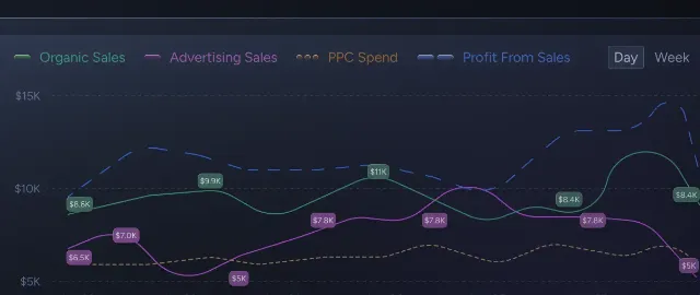 Amazon PPC reports visualization tool