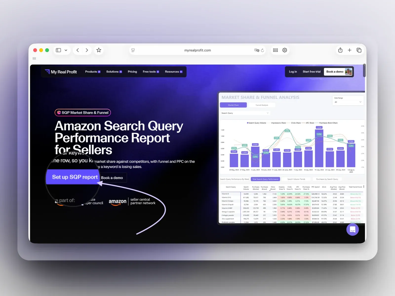 MyRealProfit with the Set up SQP report button